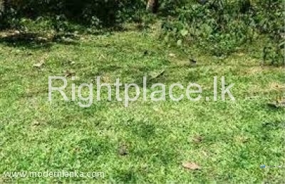 Land for Sale in Angoda