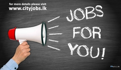Sri Lanka Top Jobs Network Cityjobs.lk 