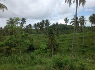 Land for Sale in Mirissa Weligama