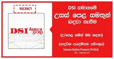 Secretary to Director â€“ DSI-Samson Rubber Products