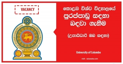 Temporary Instructor â€“ University of Colombo