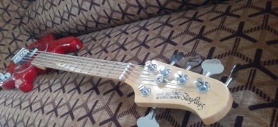Musicman Stingray 5 Bass Guitar