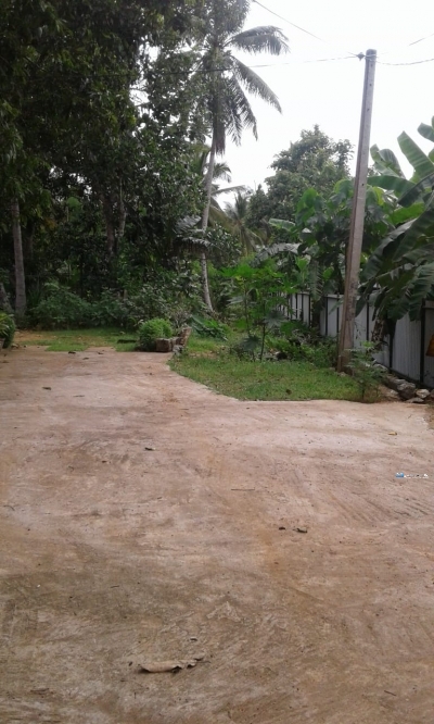 Land for Sale in Kurunegala Pothuhera
