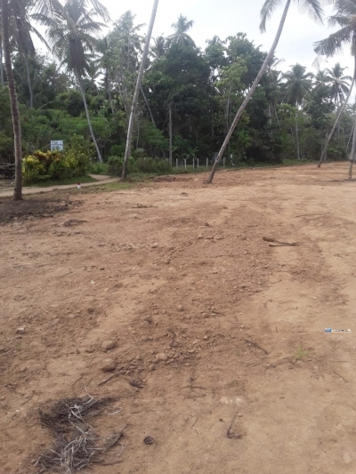 Land for Sale in Walasmulla