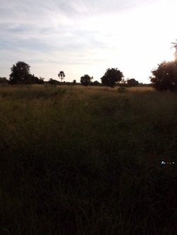 Land for Sale in Puttalama