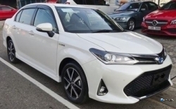 Toyota Axio WXB 2018