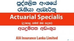 Actuarial Specialist (Contract Basis) â€“ AIA Insurance Lanka Limited