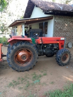 Tafe 45DL Tractor