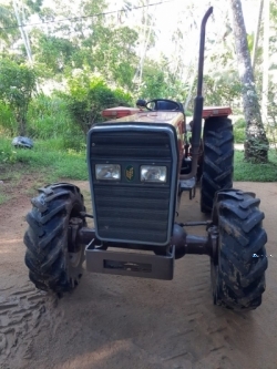 Tafe 45DL Tractor