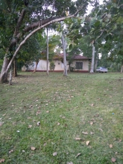 House with Land for Sale in Kurunegala, Pillessa
