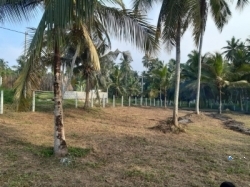 Land for Sale in Giriulla