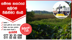 Paddy Land for Sale in Gampaha City