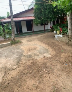 House for Rent in Panniptiya (Kalalgoda)