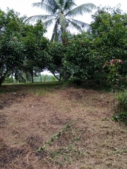 Commercial Land for Sale at Dompe - Gampaha 