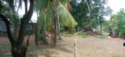 Land for sale in Pannipitiya (Kottawa)